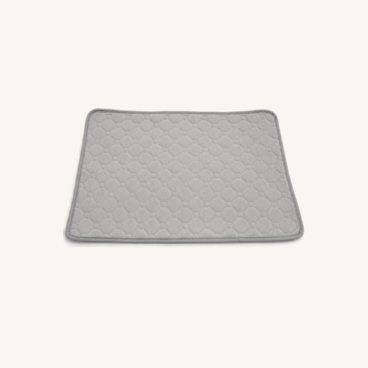 Washable Puppy Training Mat