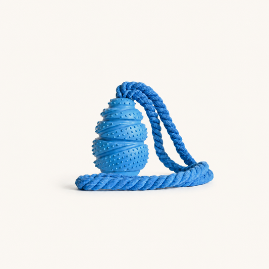 Honeycomb Rubber Treat Dispenser