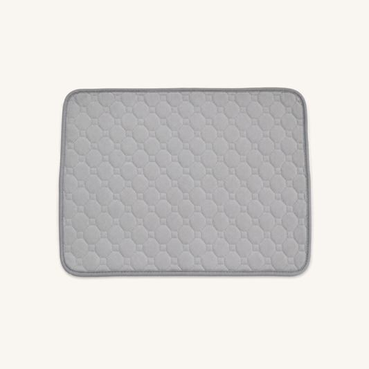 Washable Puppy Training Mat