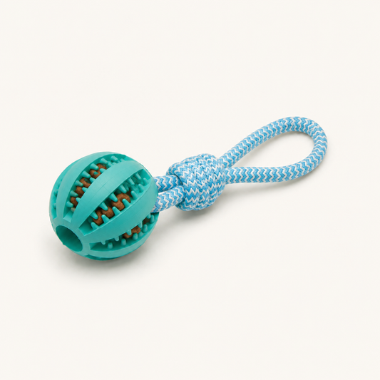 Cotton Rope & Rubber Chew Ball